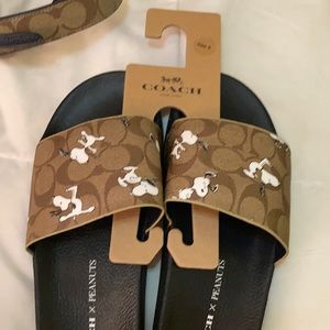 Coach x Peanuts slide !